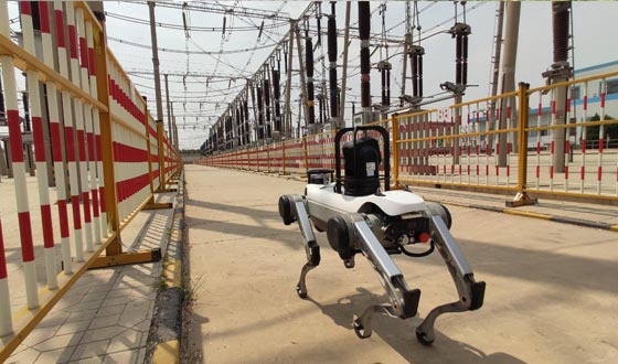 The first domestic quadruped robot on the cover of top robotics journal Science Robotics.